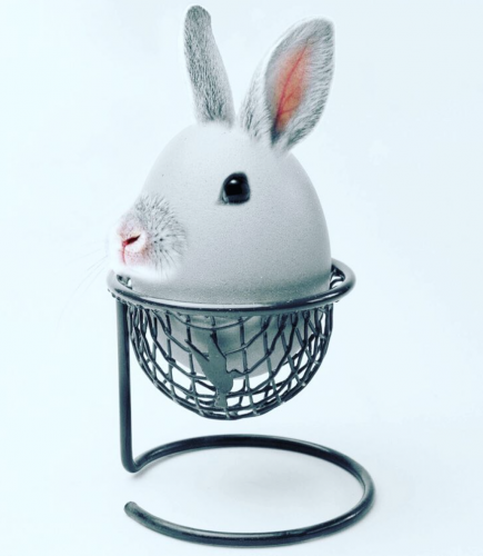 Photo manipulation: Easter egg looking like a bunny